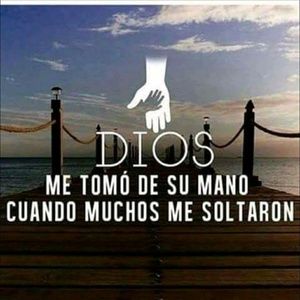 Meet your Posher, Olga